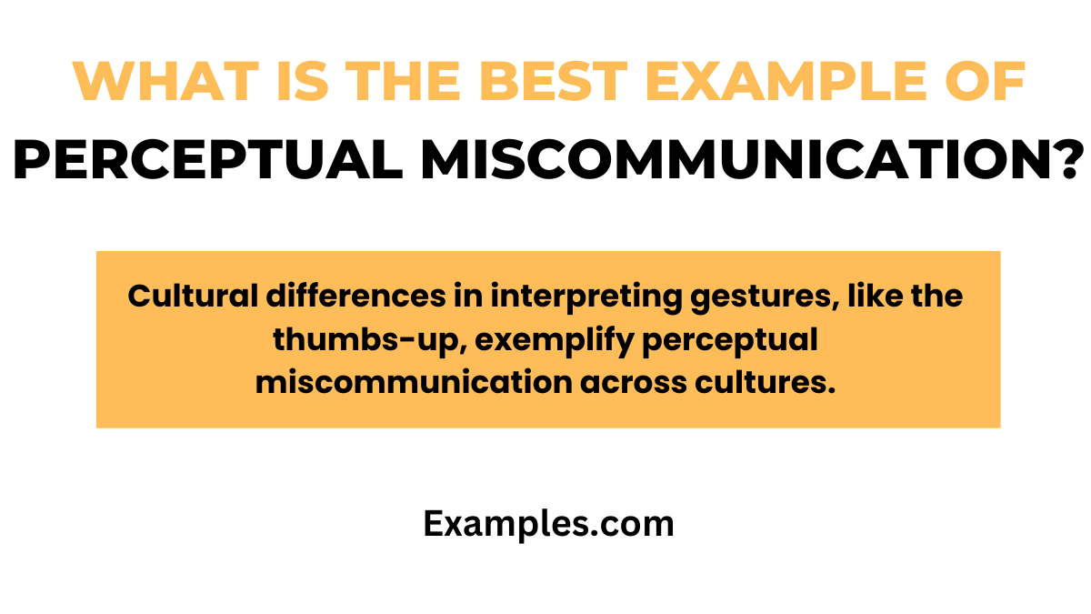 what is the best example of perceptual miscommunication