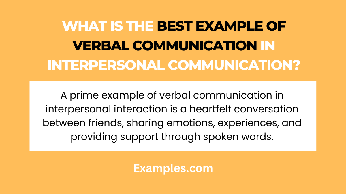 what is the best example verbal communication