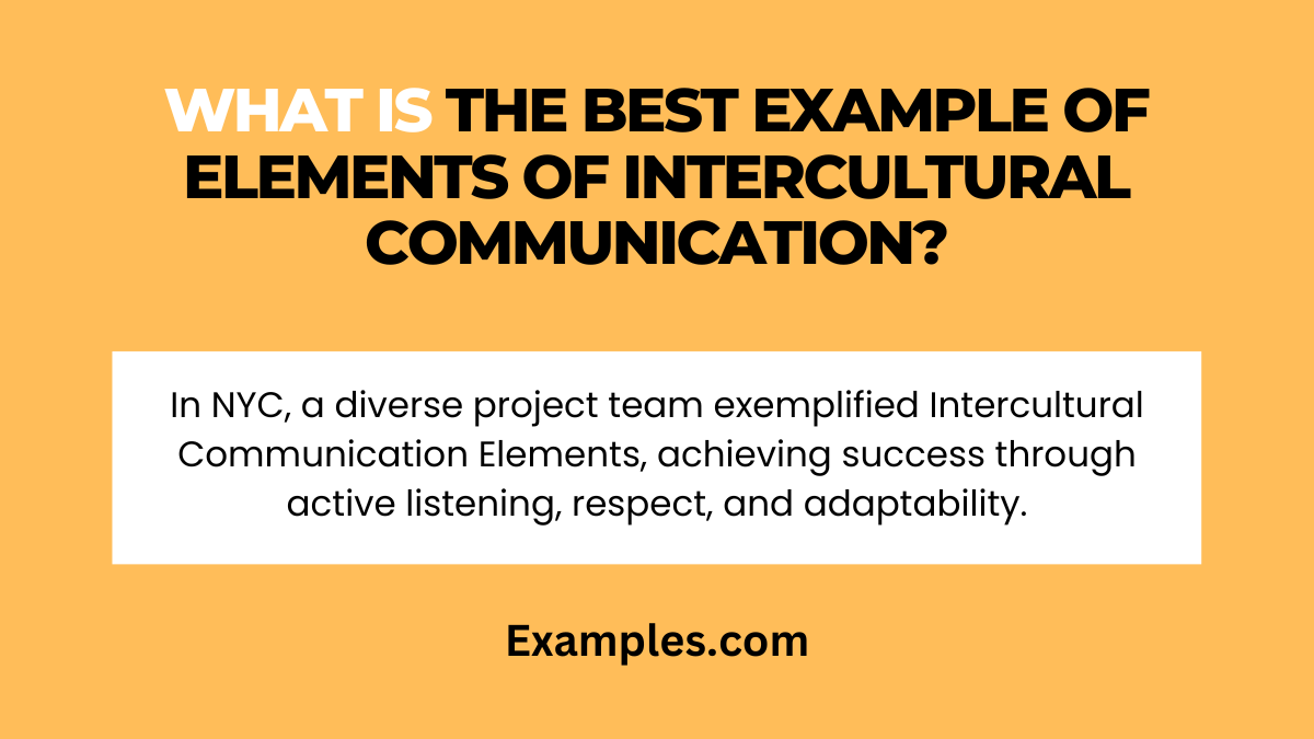 what is the best example of elements of intercultural communication