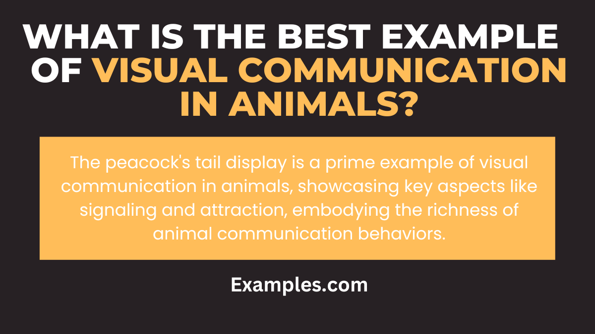 what is the best example of visual communication in animals
