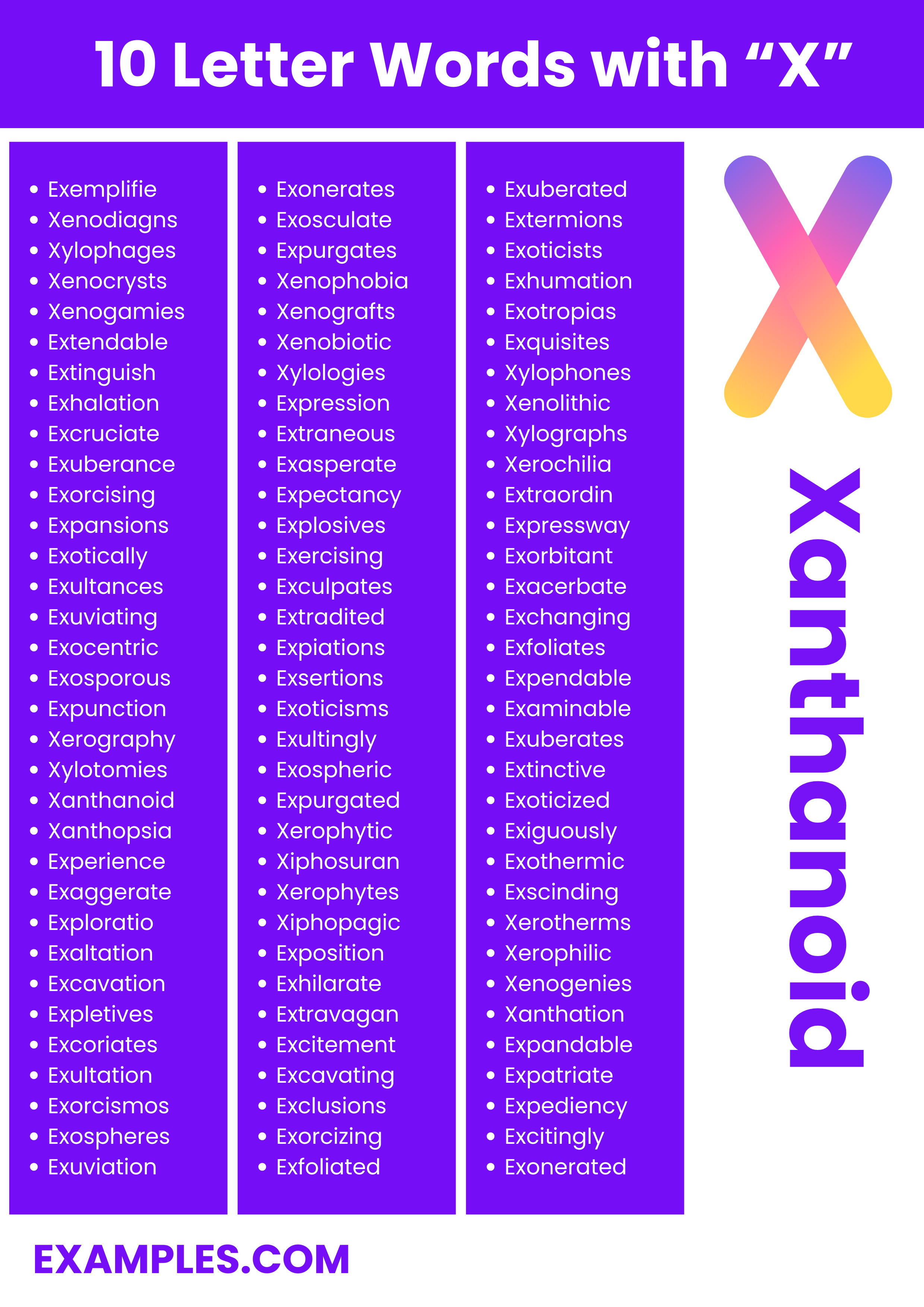 10 letter words with x