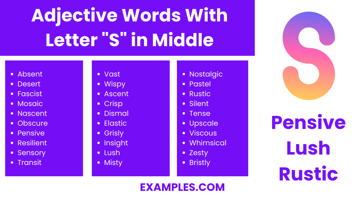 adjective words with letter s in middle