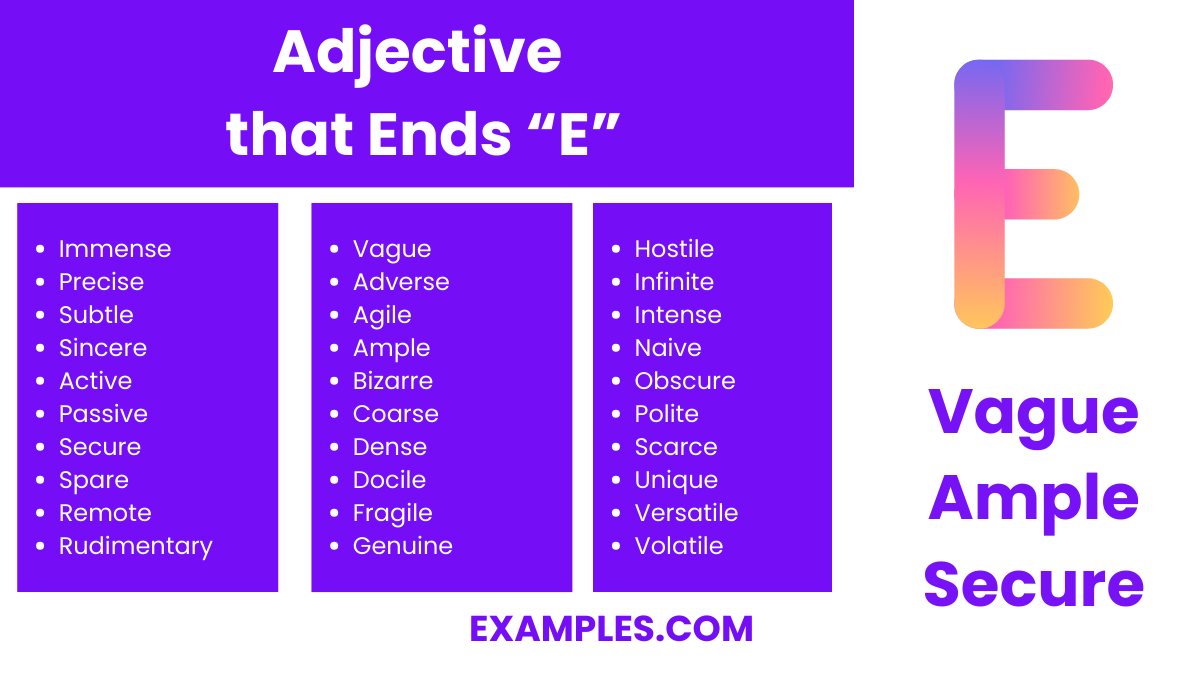 adjective that ends e
