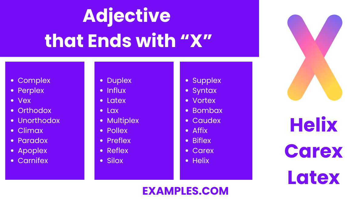 adjective that ends with x