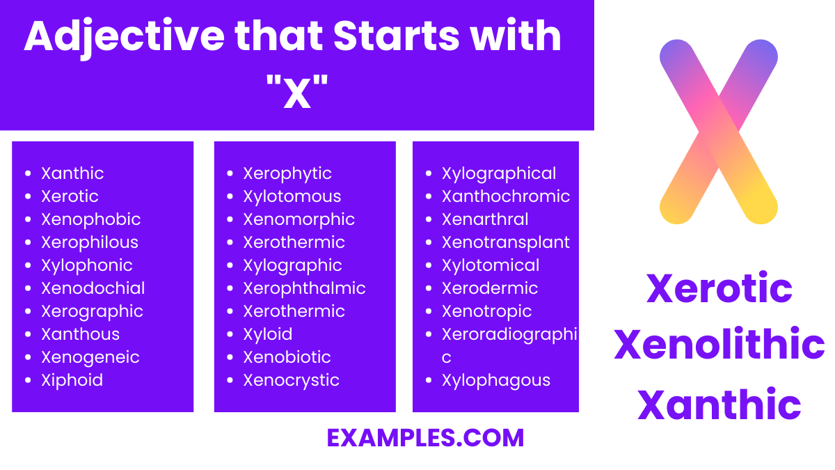 adjective that starts with x