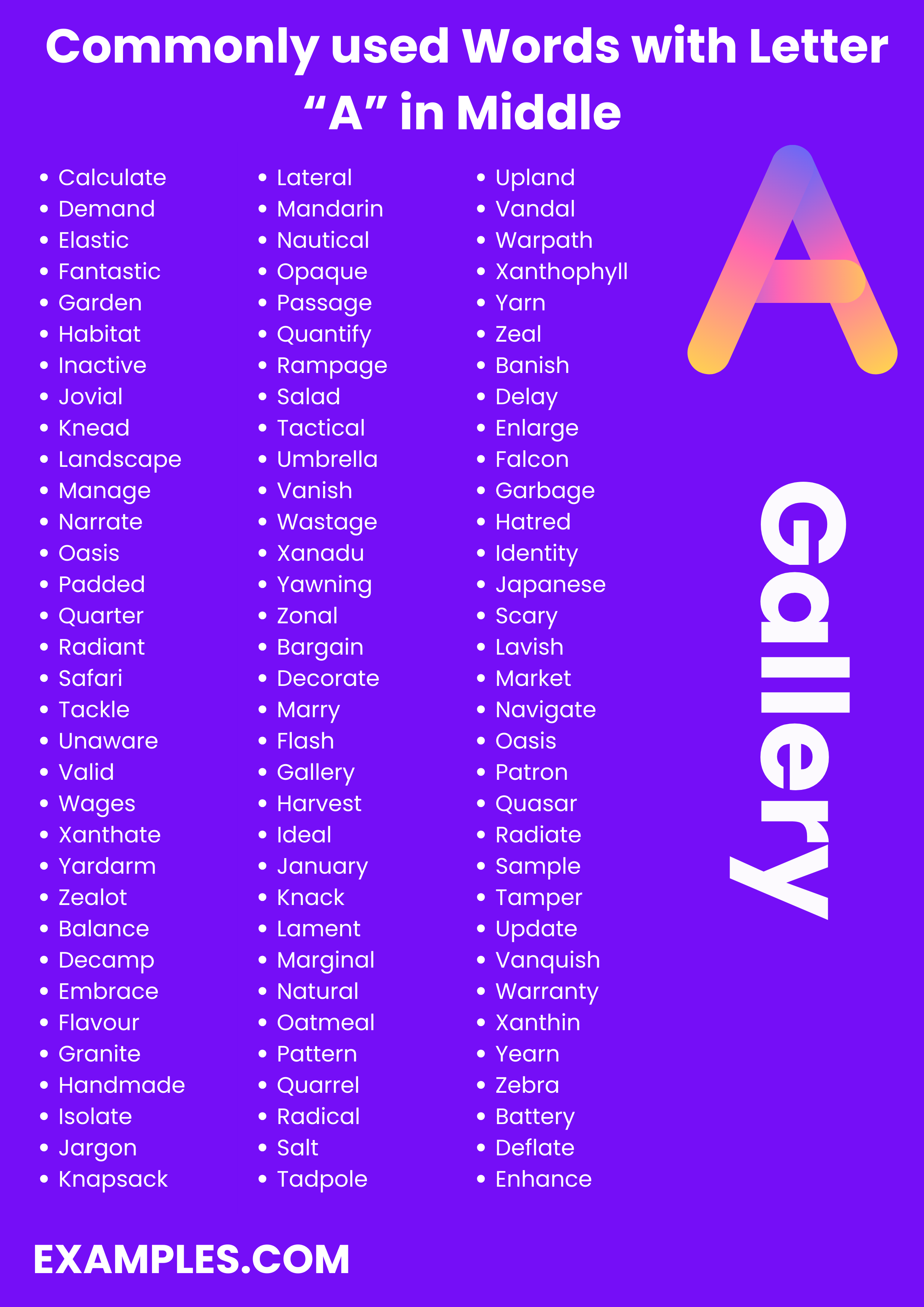 commonly used words with letter a in middle