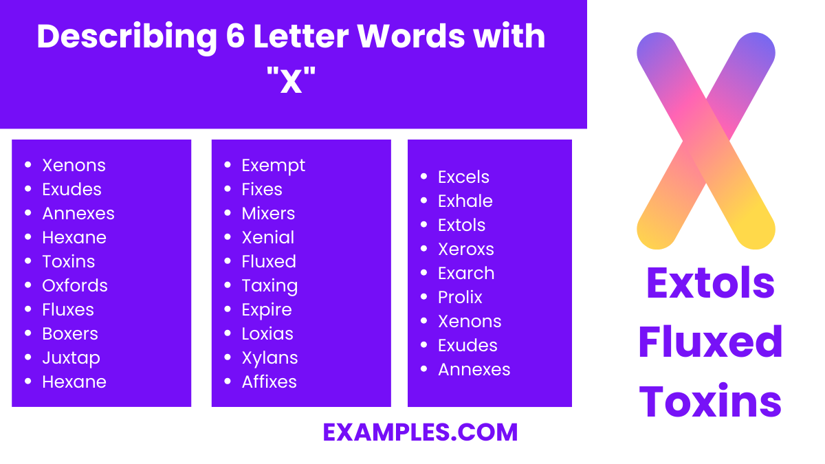 describing 6 letter words with x