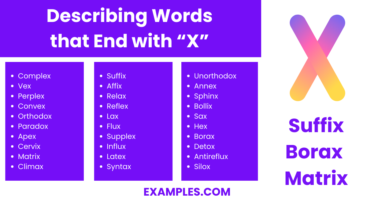 describing words that end with x