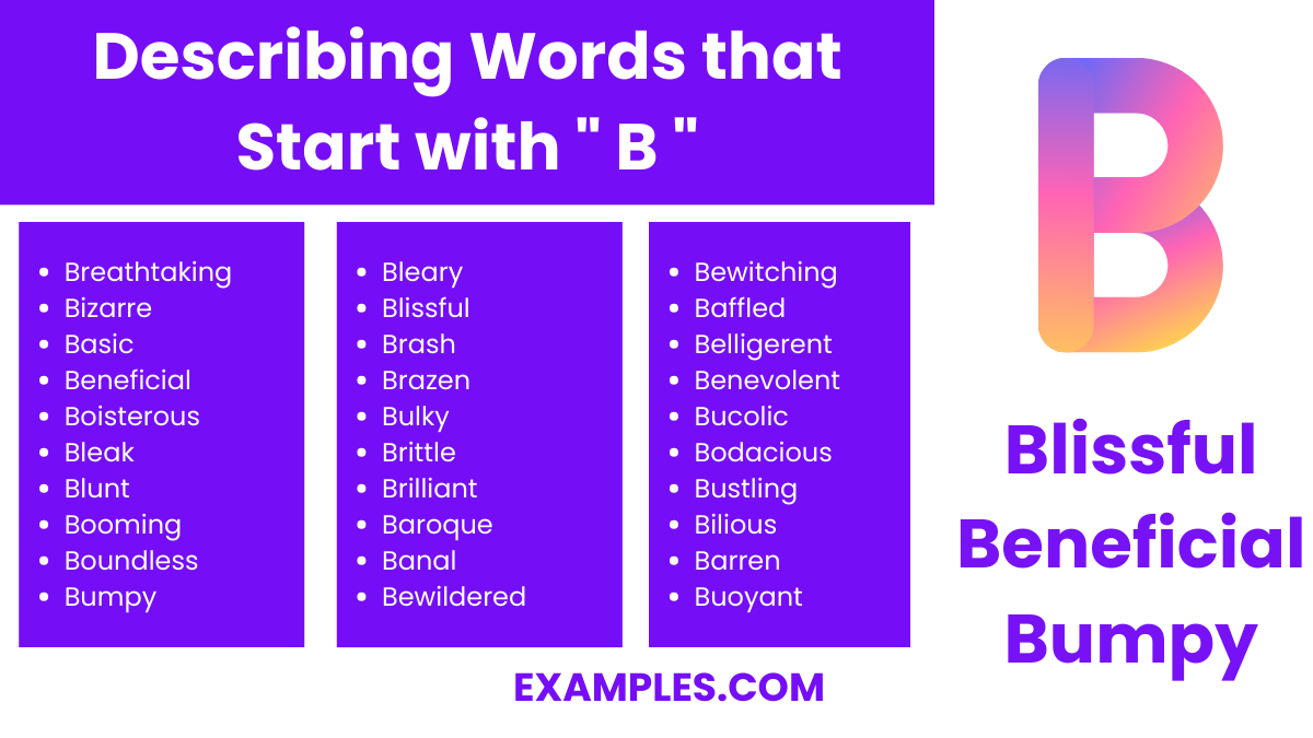 describing words that start with b 