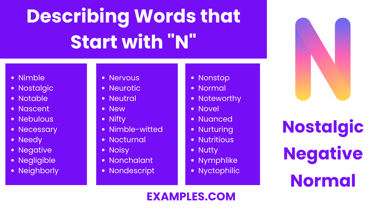 describing words that start with n