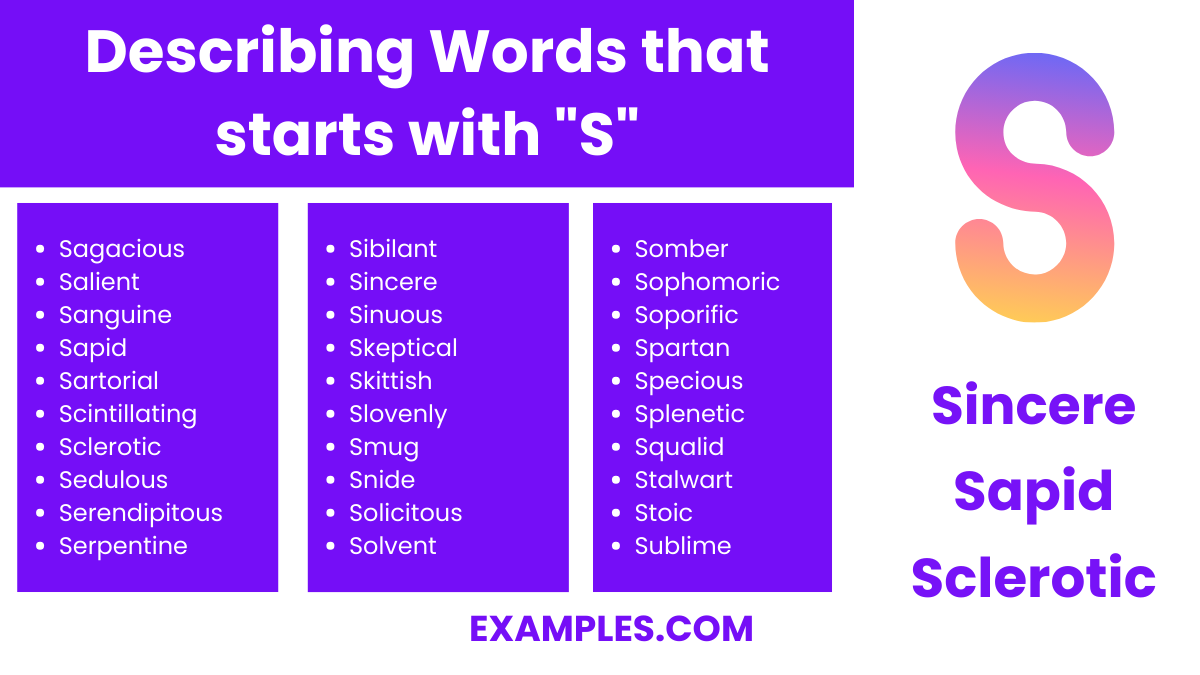 describing words that start with s