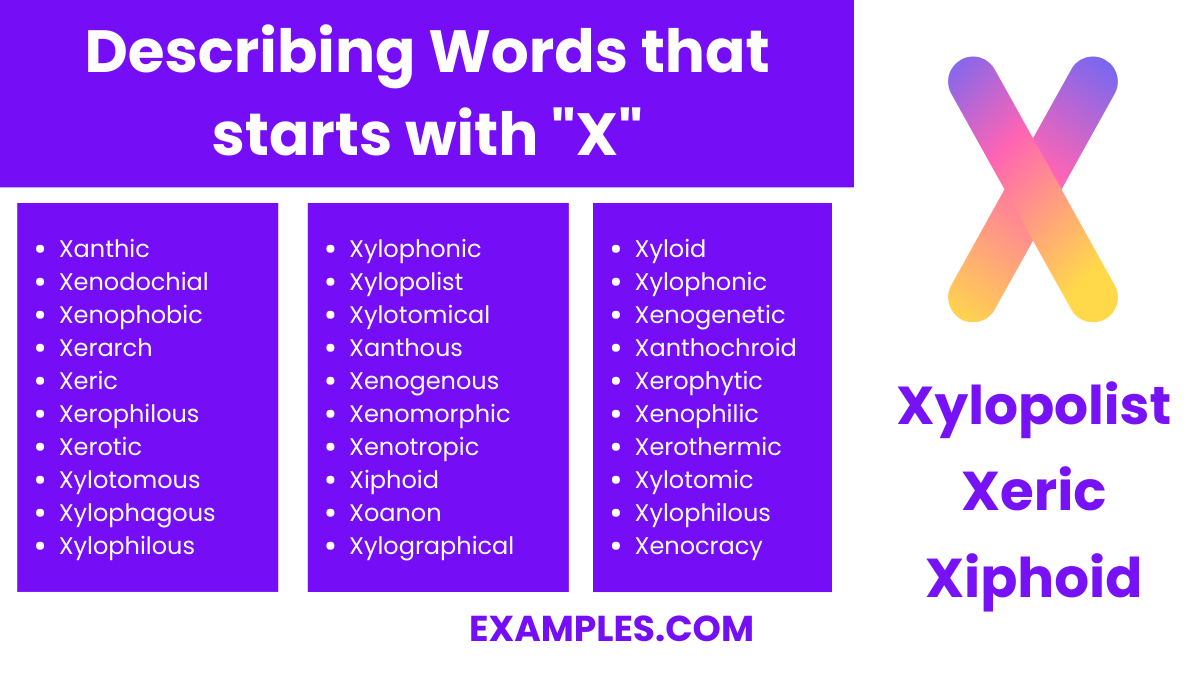 describing words that start with x