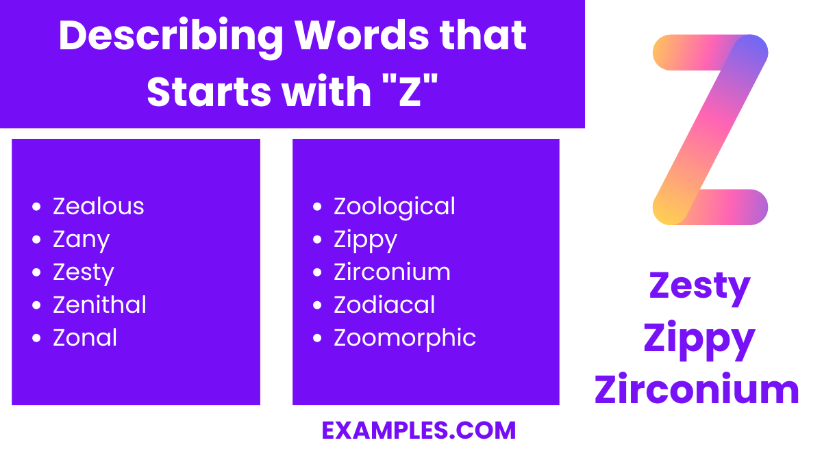 describing words that starts with z