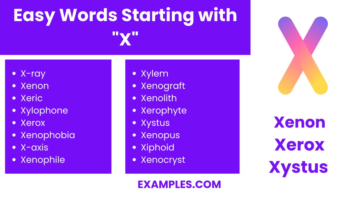 easy words starting with x