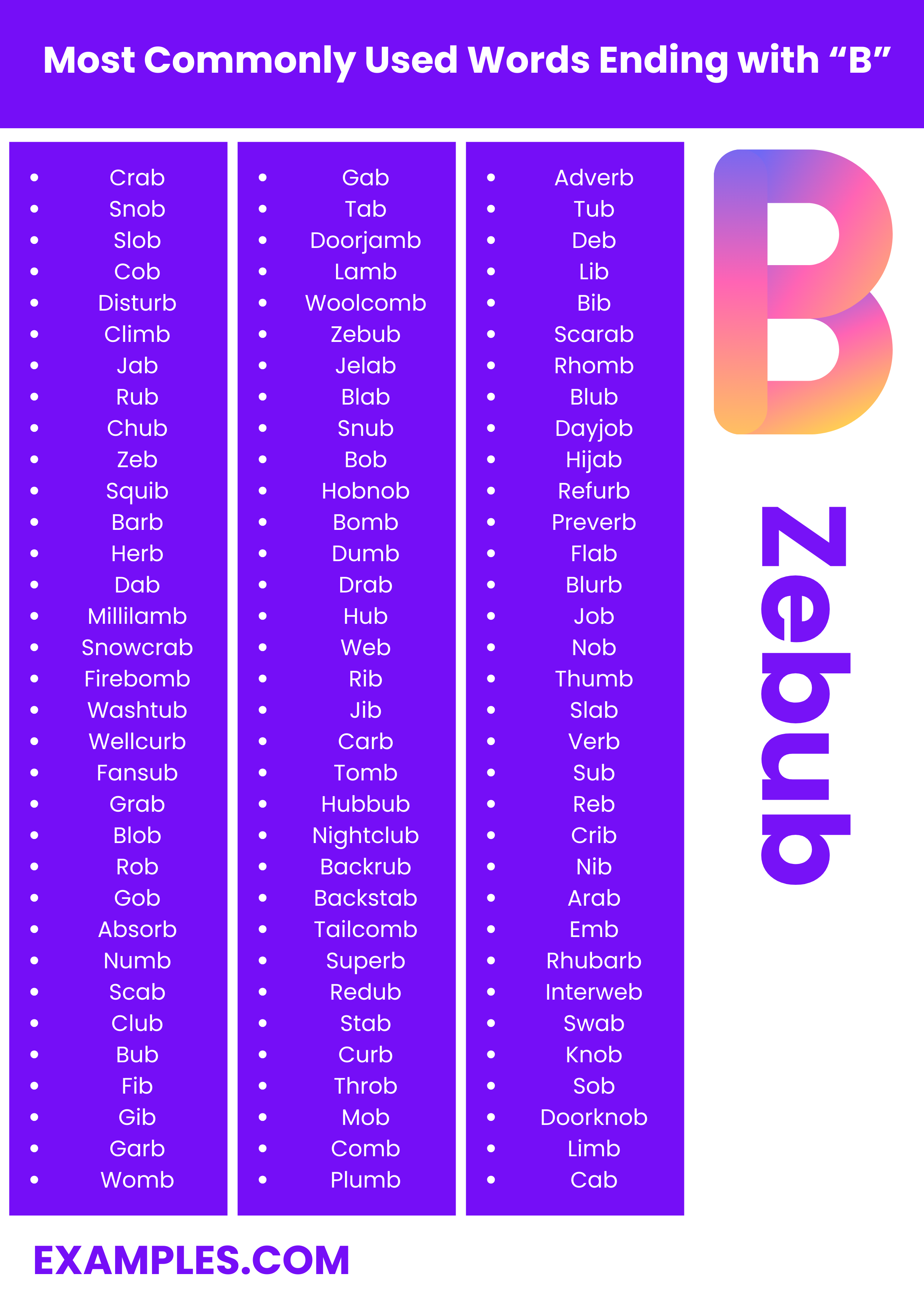 Words That End With B 450 List Meaning PDF