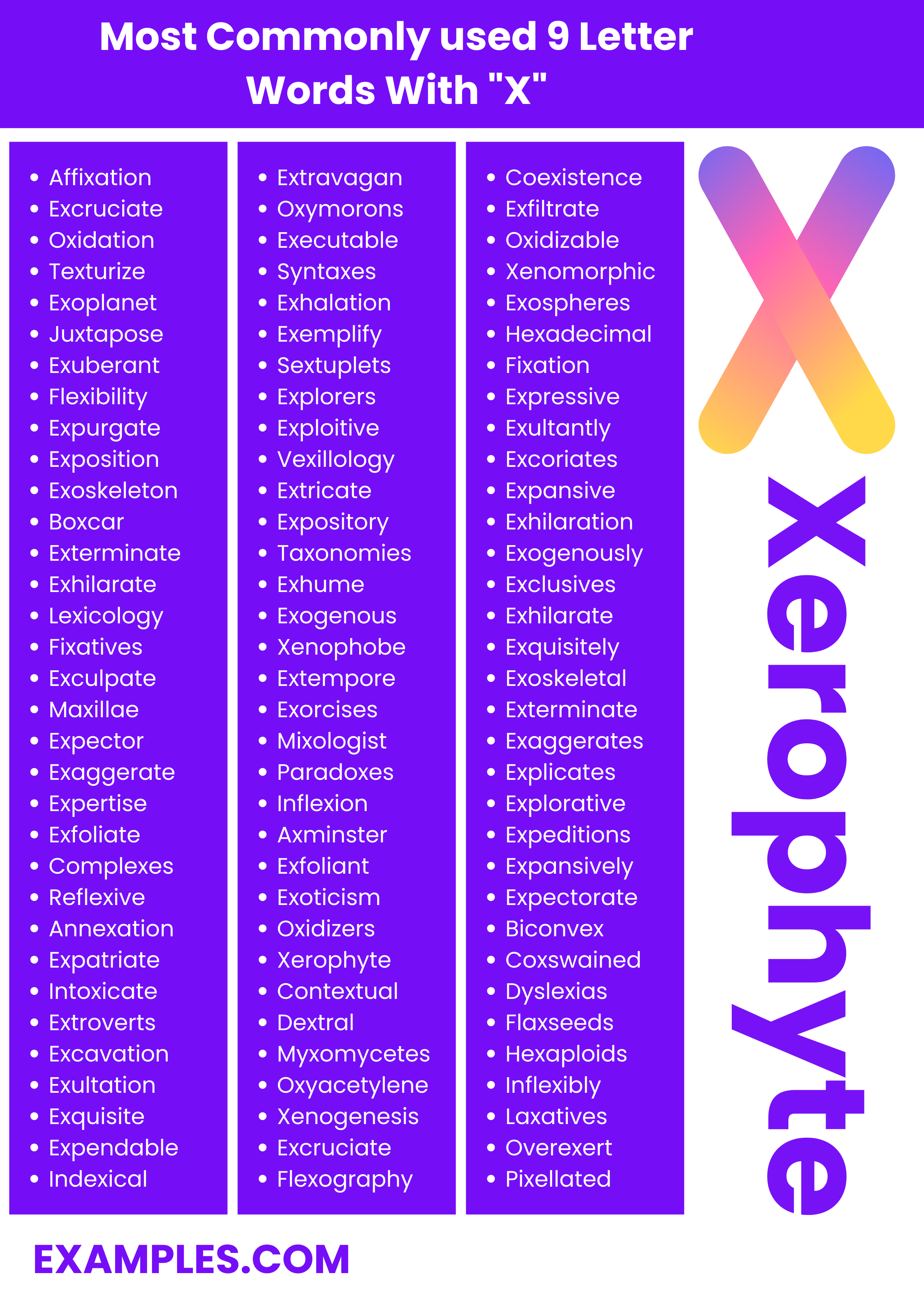 most commonly used 9 letter words with x
