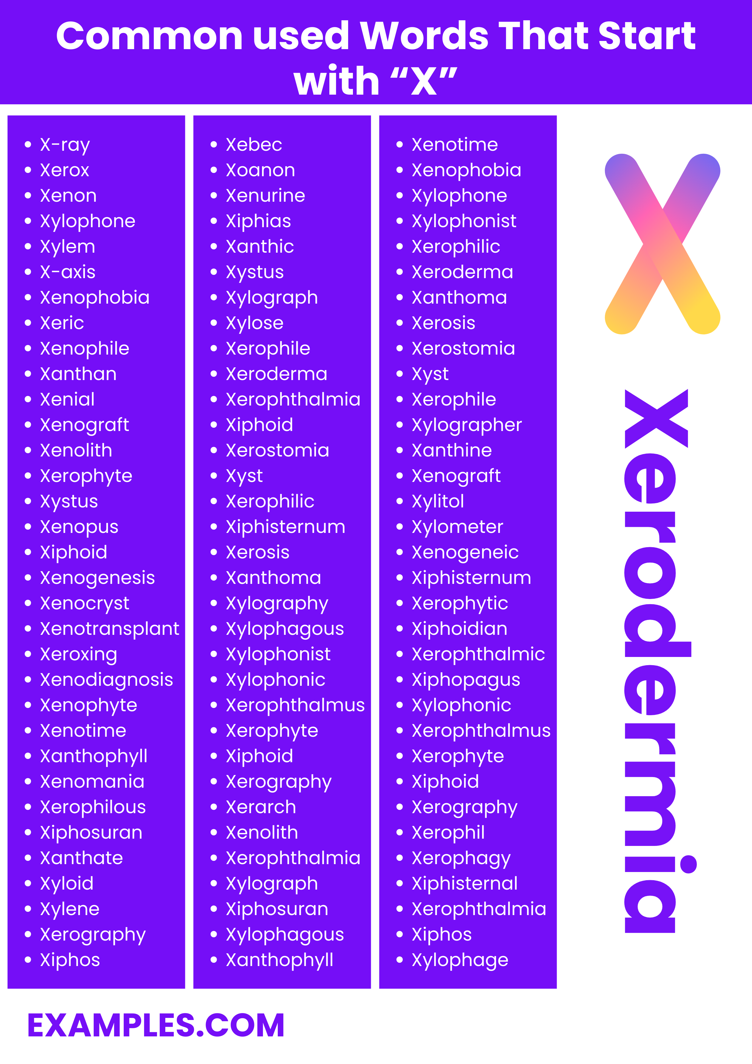 most commonly used words with x