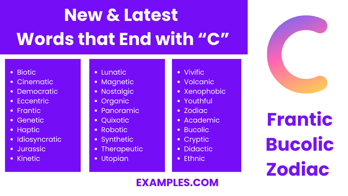 new latest words that end with c
