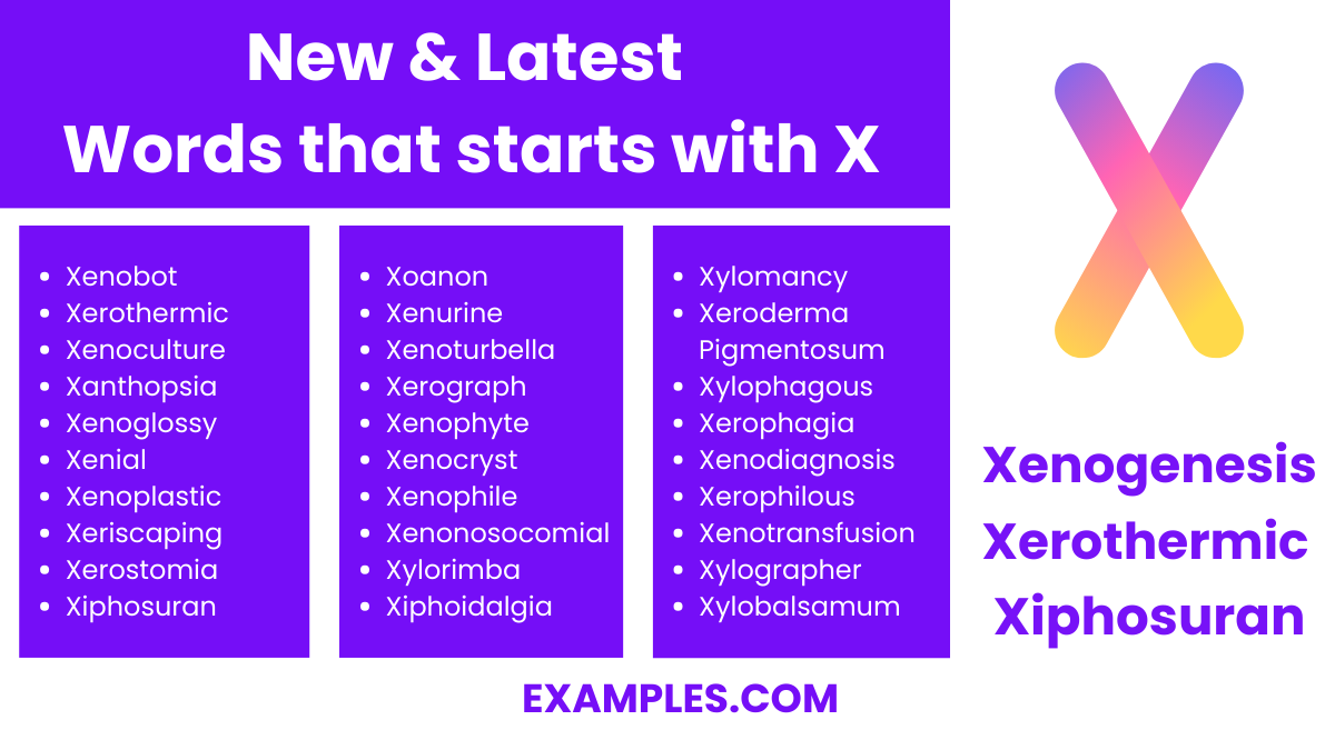 new latest words that start with x