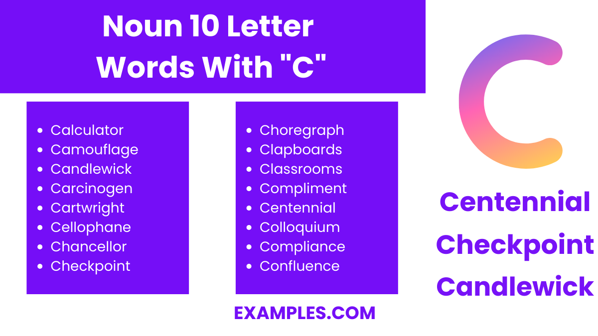 noun 10 letter words with c