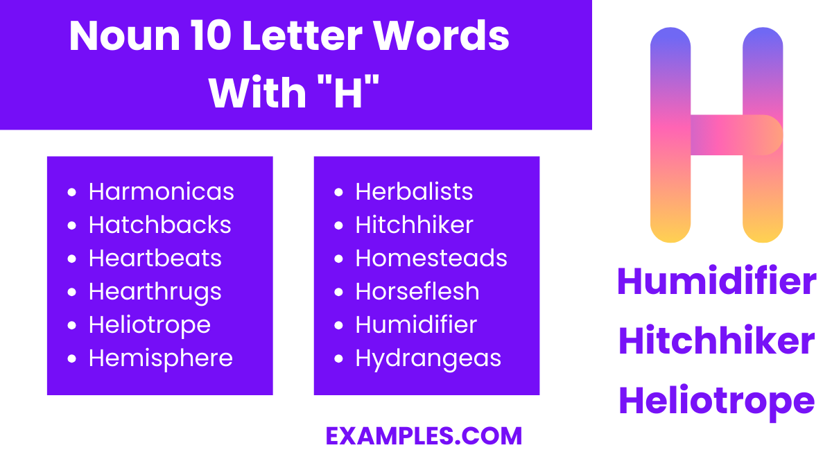 noun 10 letter words with h