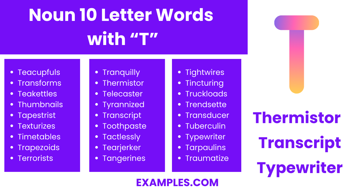 noun 10 letter words with t