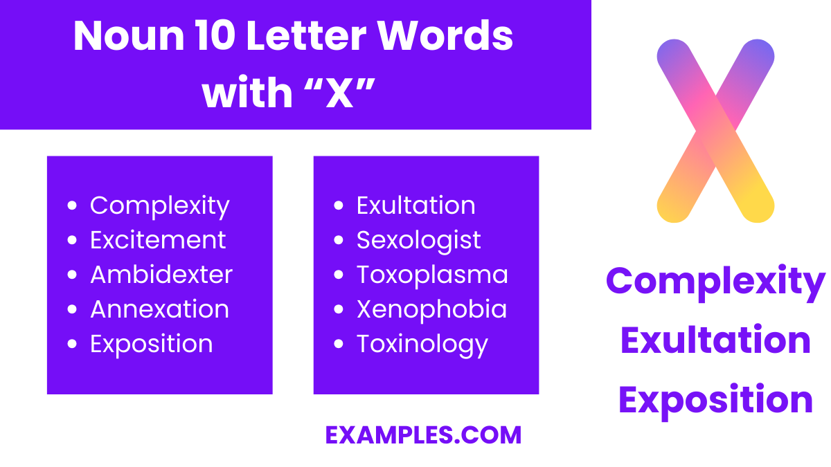 noun 10 letter words with x