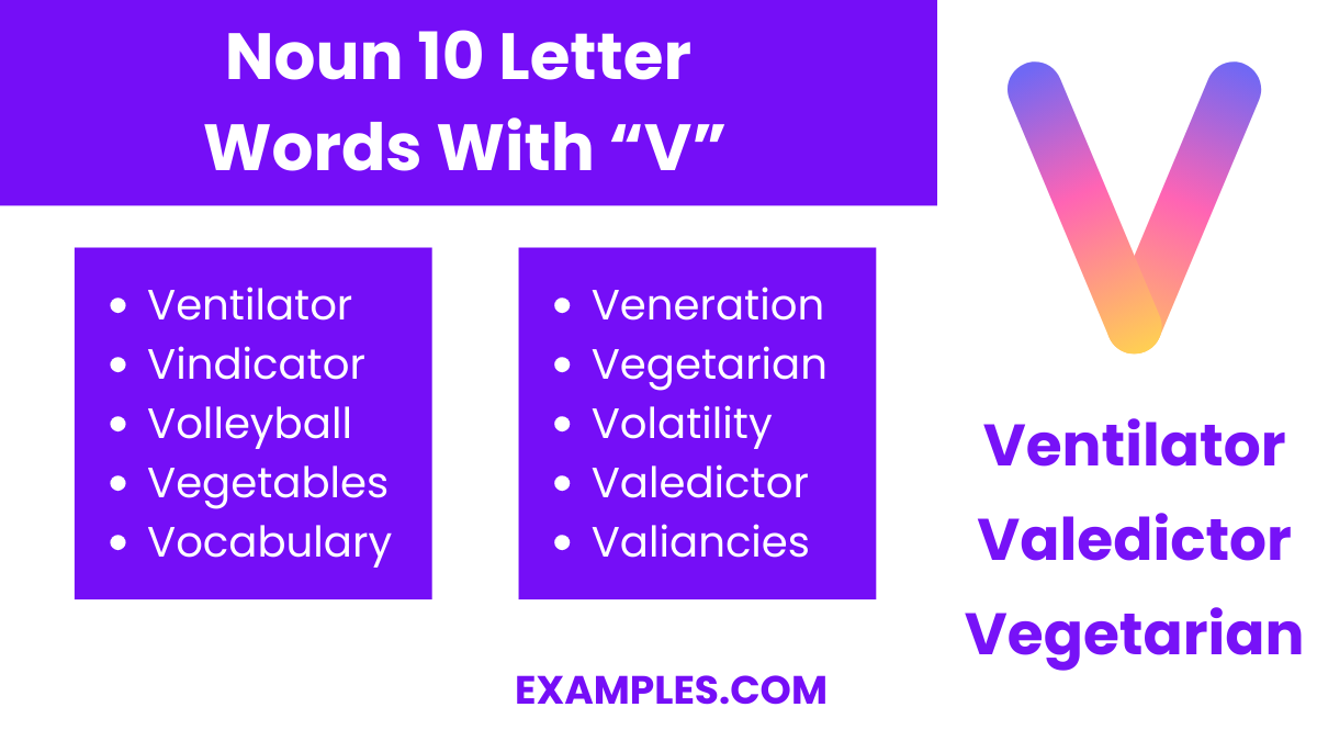 noun 10 letters words with v