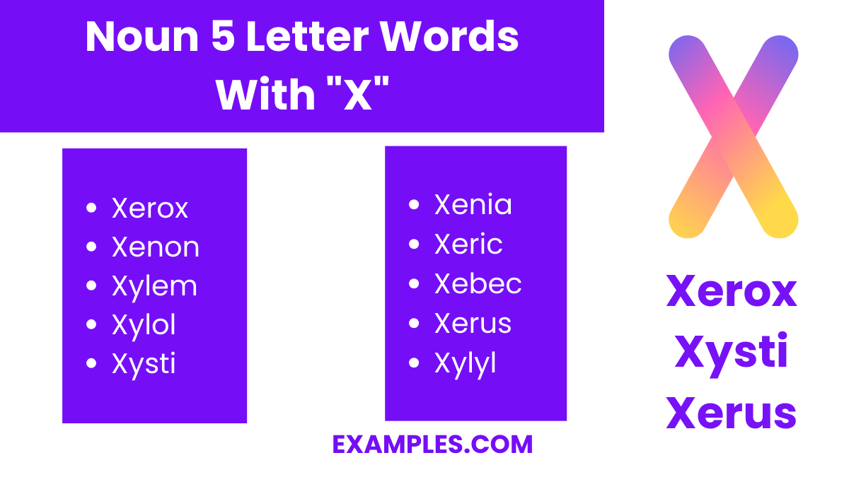 noun 5 letter words with x