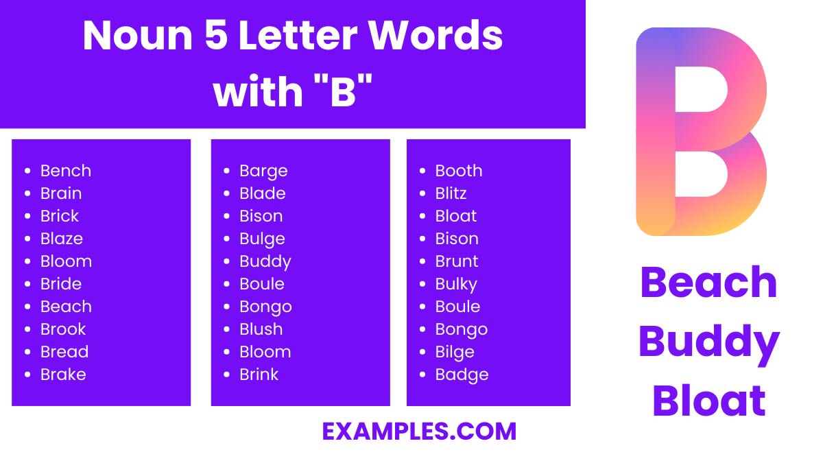 noun 5 letters words with b
