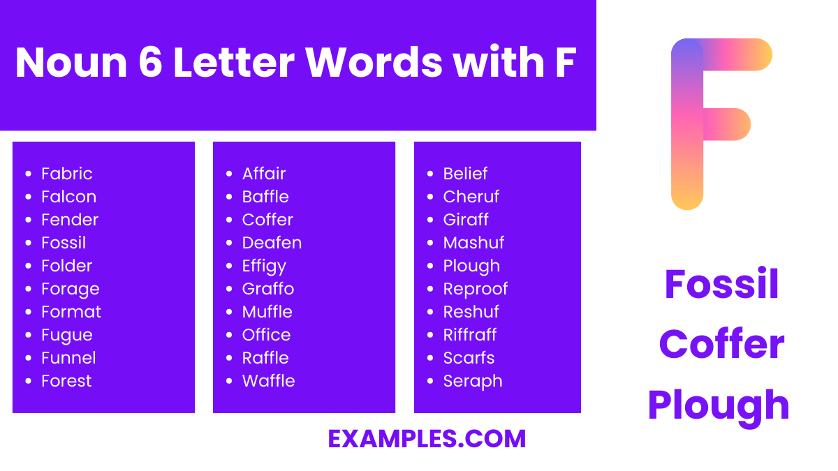 noun 6 letter words with f