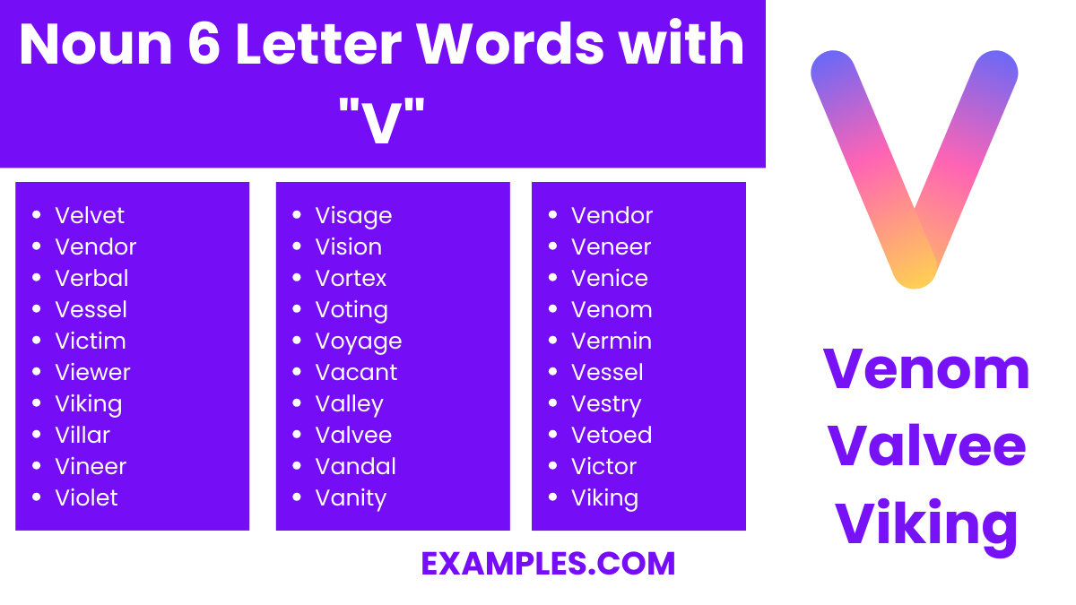 noun 6 letter words with v