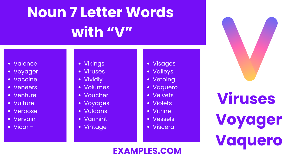 noun 7 letter words with v