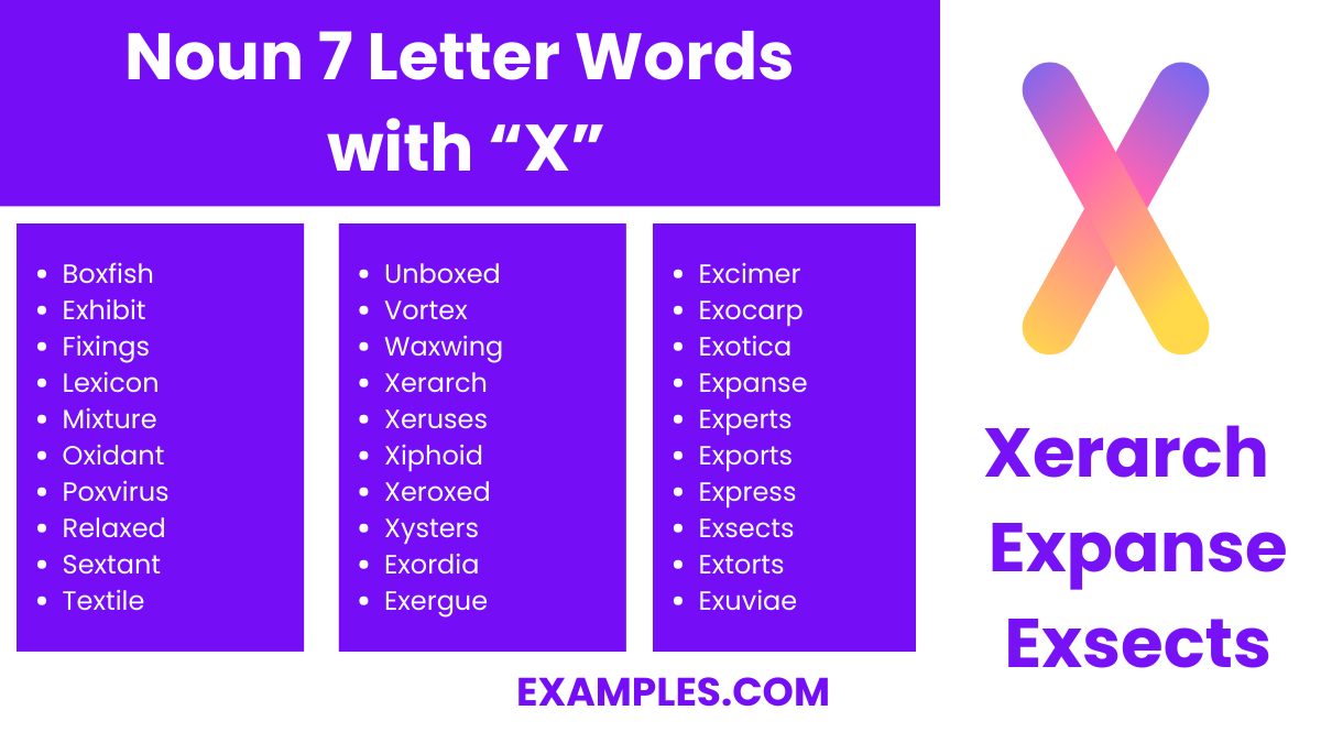 noun 7 letter words with x