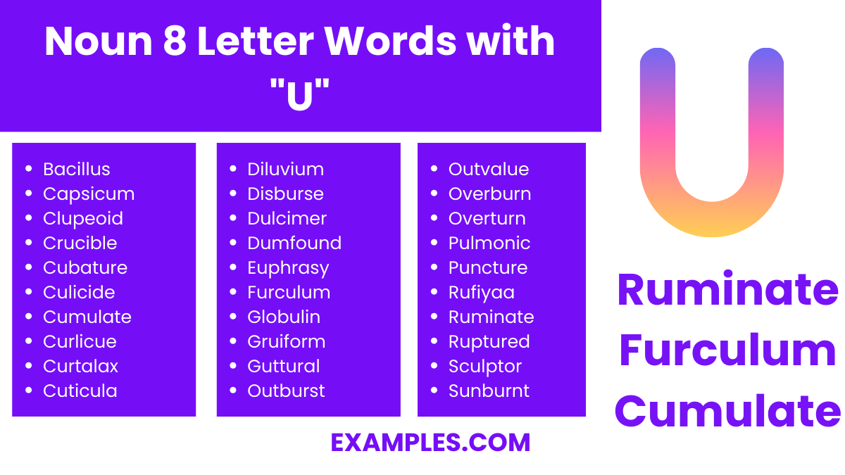 noun 8 letter words with u
