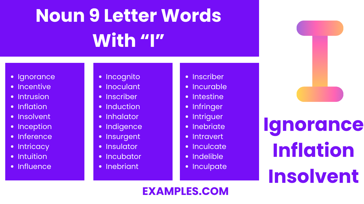 noun 9 letter words with i