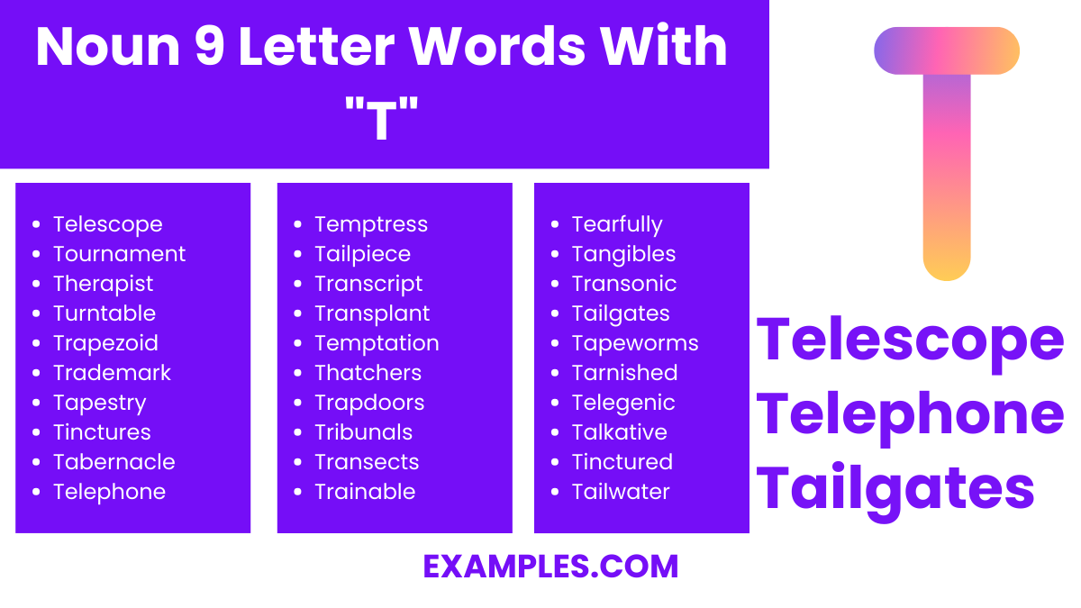 noun 9 letter words with t