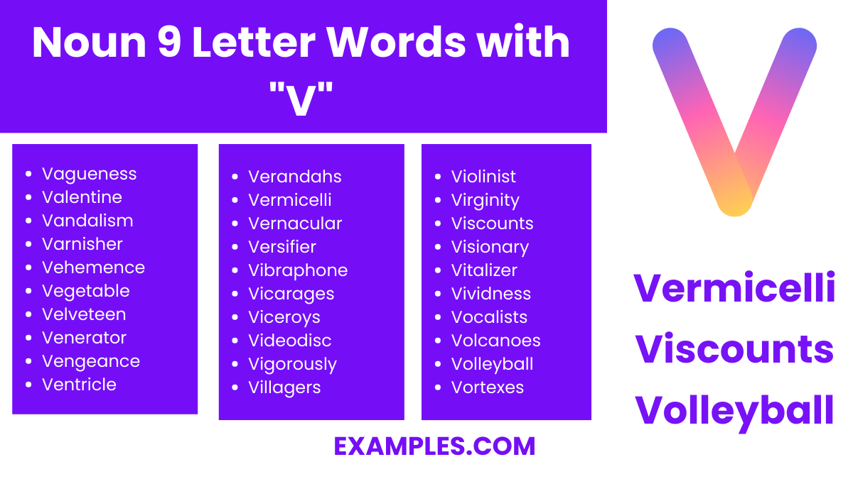 noun 9 letter words with v