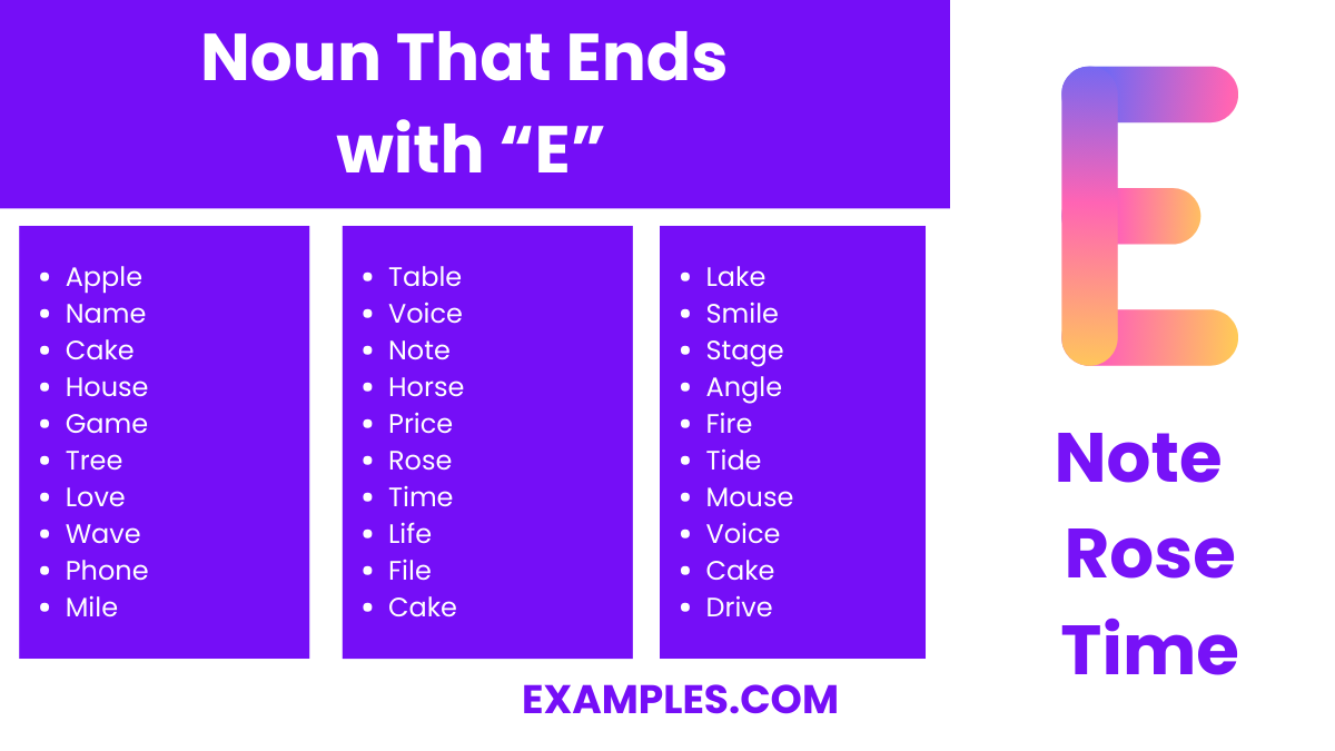 noun that ends with e