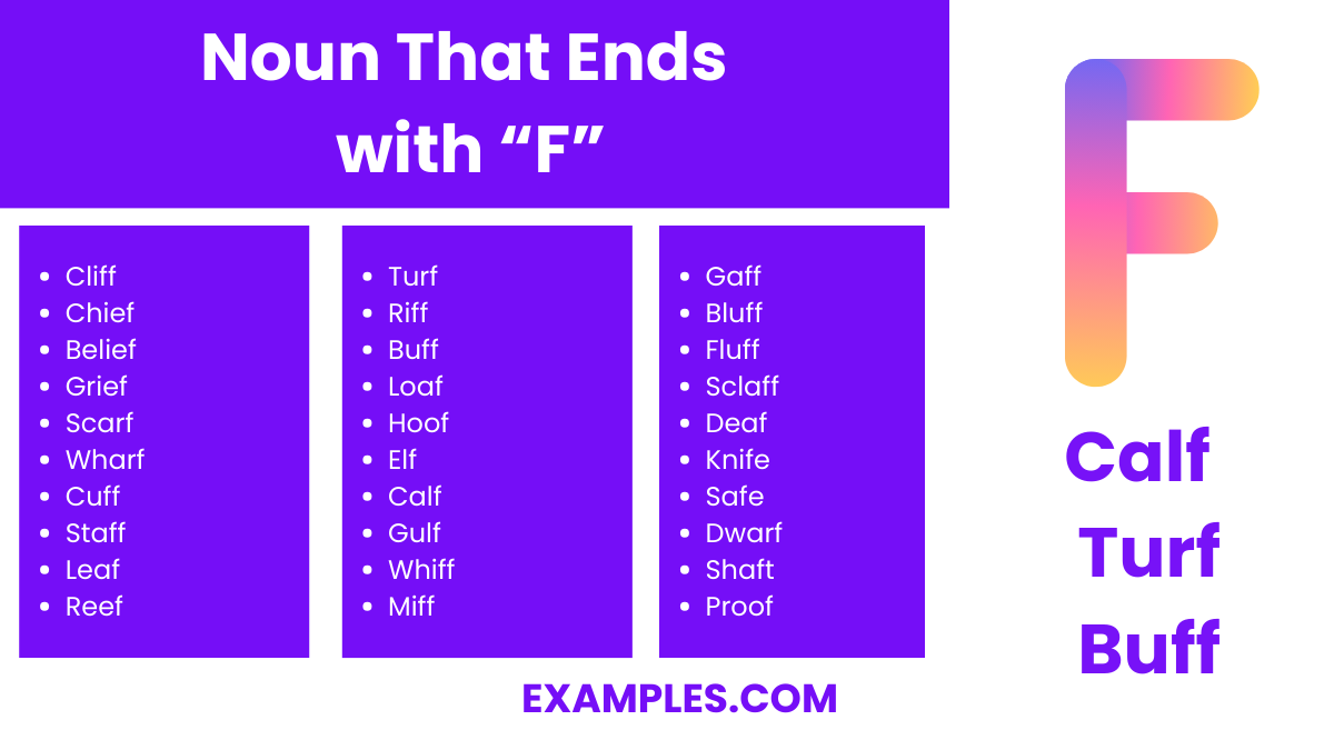noun that ends with f