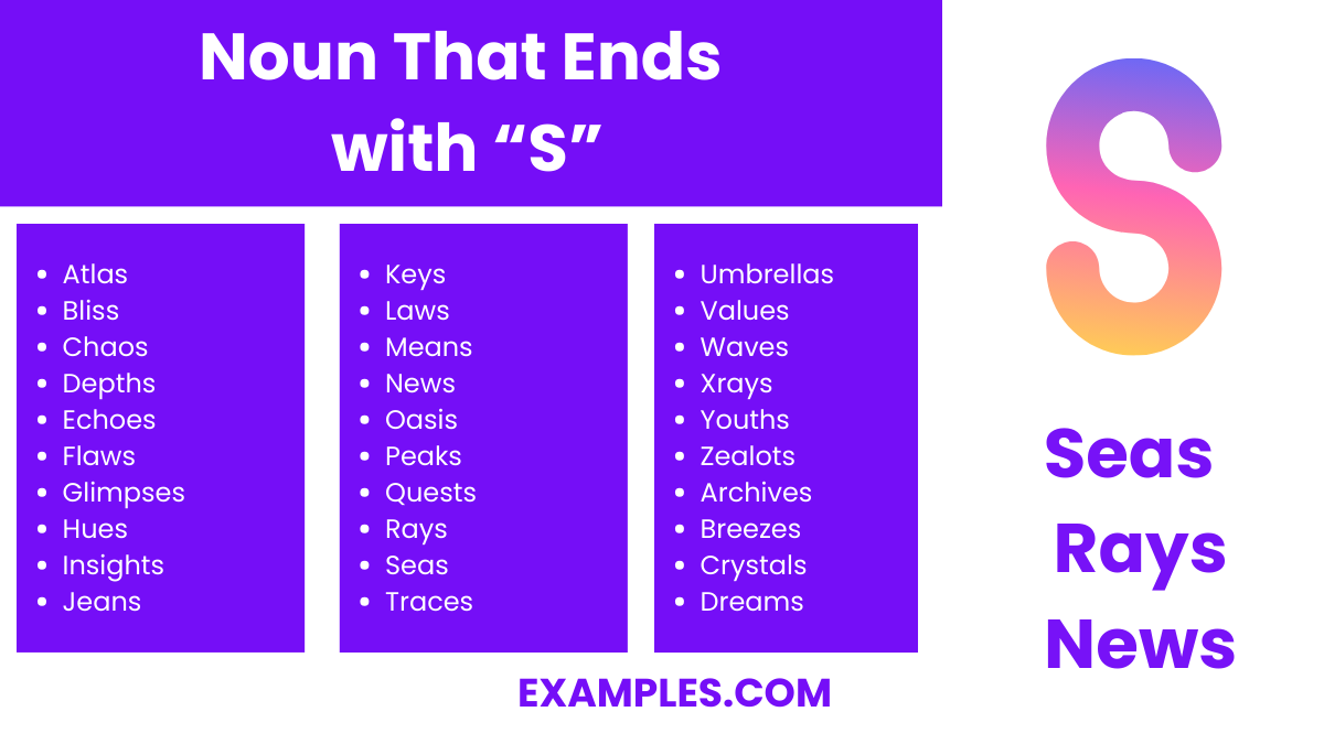 noun that ends with s