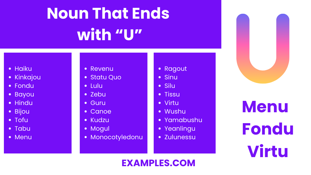 noun that ends with u