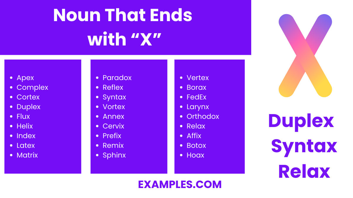 noun that ends with x