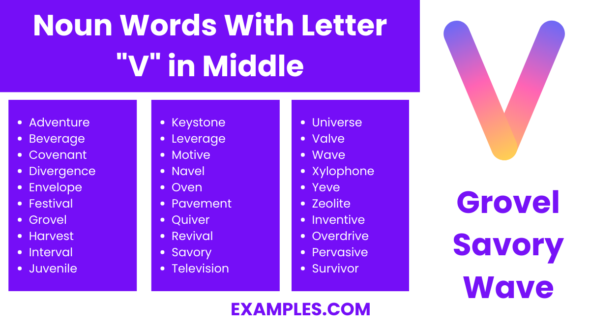 noun words with letter v in middle