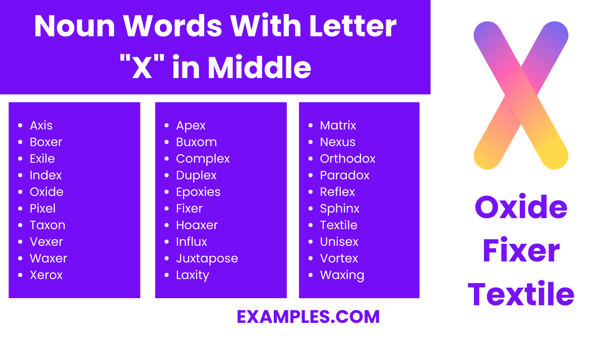 noun words with letter xin middle