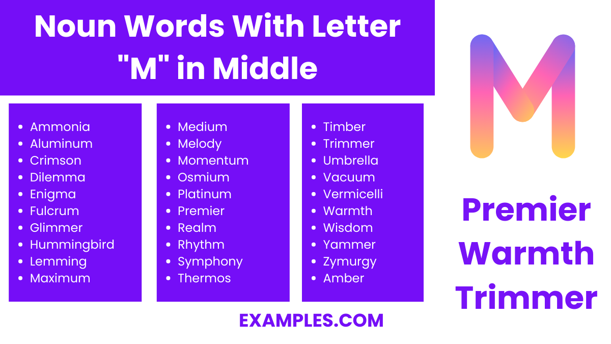 noun words with letter m in middle