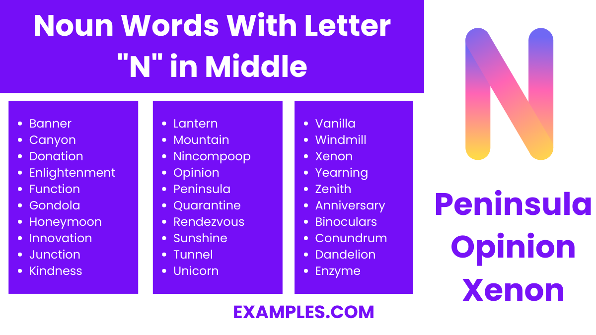 noun words with letter n in middle