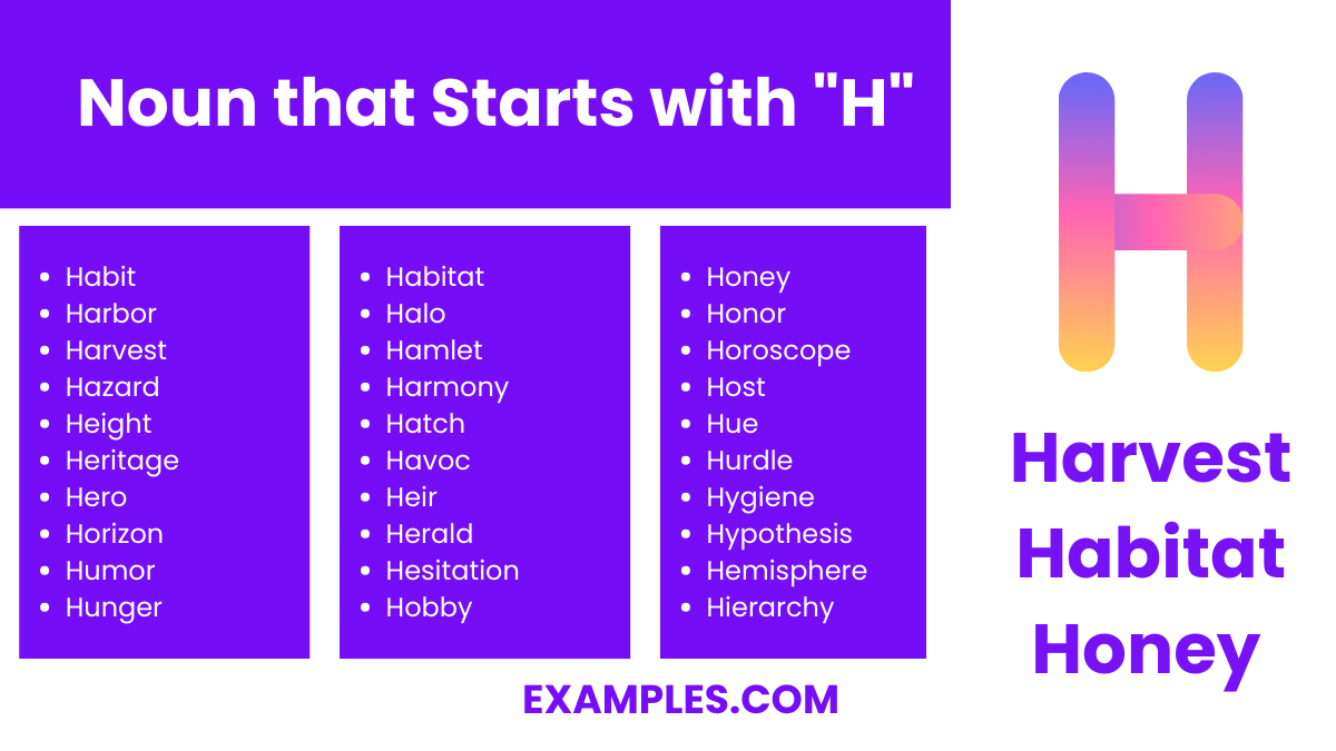 noun that starts with h