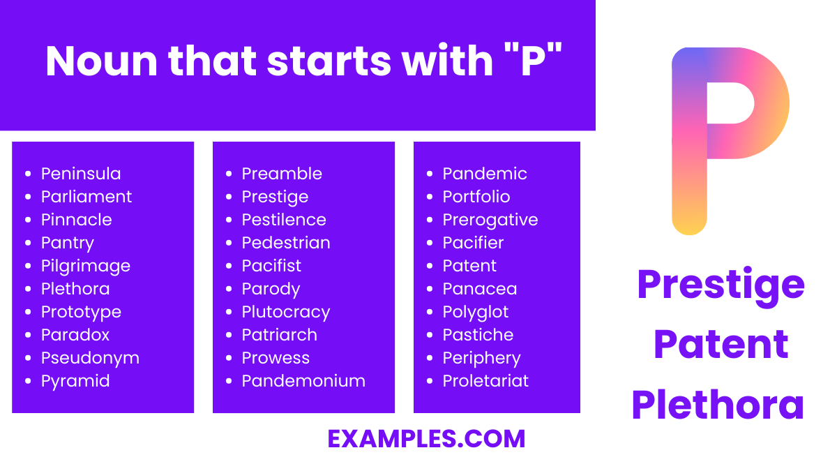 noun that starts with p