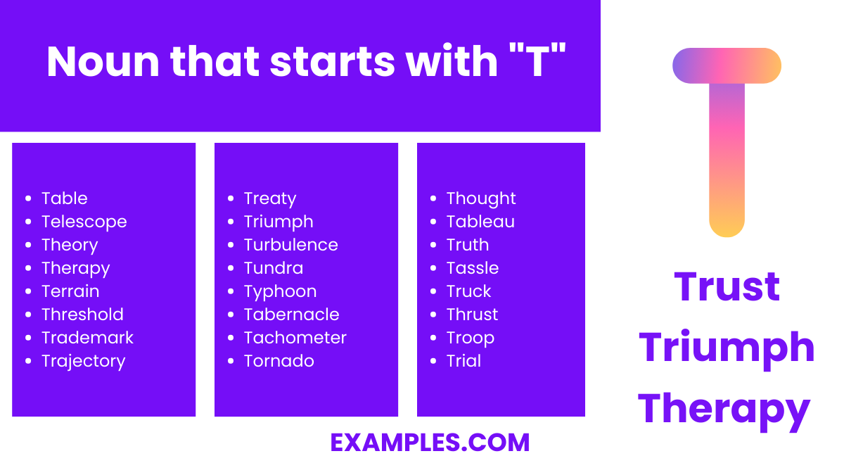 noun that starts with t